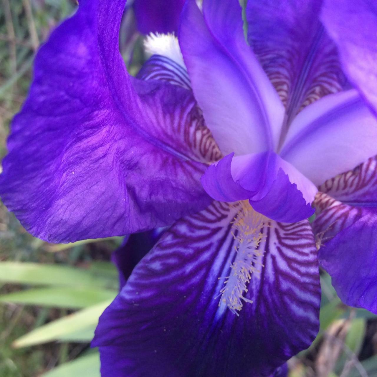 B&B Luce Viola Dorgali Exteriér fotografie